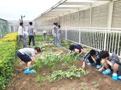 -上海闵行区万科双语学校