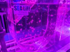 -沈阳海洋探索中心