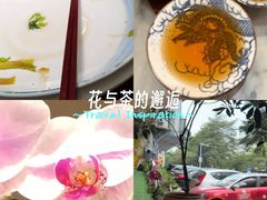 -山水茶艺馆·点心粤菜·30年老字号