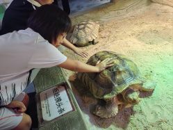 -Zoolung Zoolung动物主题公园(海信广场店)