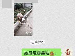 -谐和贝康宠物医院24小时·宠保定点(急重症转诊中心)