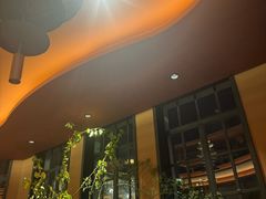 -滇野云南野生菌餐厅(陕西南路店)