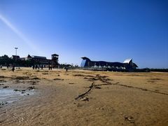 -日照海滨国家森林公园