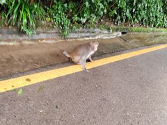 -黔灵山公园
