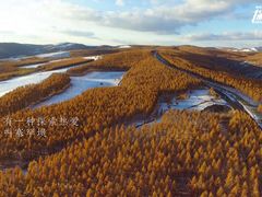 -塞罕坝国家级自然保护区