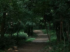 -虞山风景区