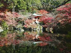 -醍醐寺