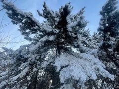 -秦岭终南山世界地质公园翠华山景区