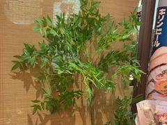 -沼津港精致料理·寿喜烧·烧鸟(漕河泾印象城店)