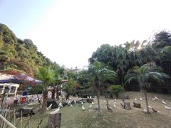 -水濂山森林公园