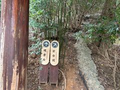 -伯先公园
