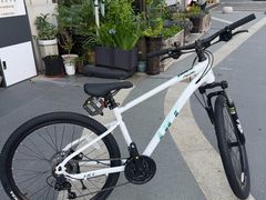 -道路口单车爱瓦士dahon大行