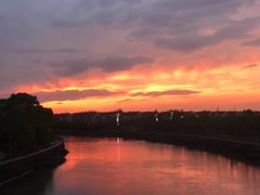 -菊园百果园