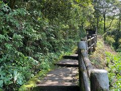 -龙苍沟森林公园