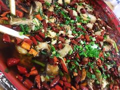 -东吴霸王兔(松青路店)