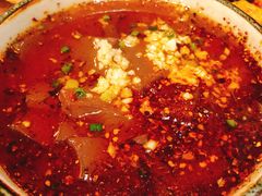 -左陕右甘(亚运村店)