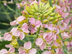 -中国天府农业博览园