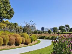 -春花秋色城市公园