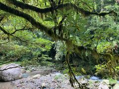 -西岭雪山大飞水景区