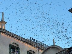 -华谊兄弟（长沙）电影小镇