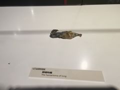 -生命奥秘博物馆