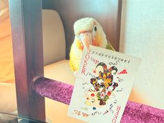 -上海龙之梦万丽酒店