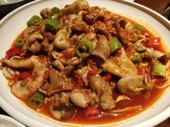 -老板恋上鱼(高新万达店)