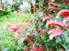 -厦门良筑精品酒店(厦门中山路店)