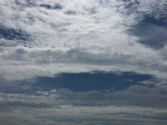 -吴淞炮台湾湿地森林公园烧烤区