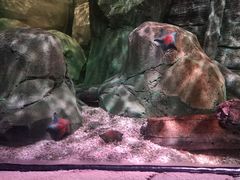 -沈阳海洋探索中心