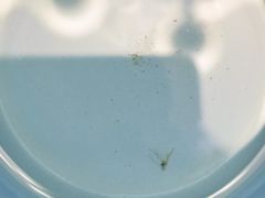 -三泉海中鲜海鲜加工零售广场(幸福时代店)