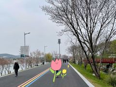 -羊山湖公园