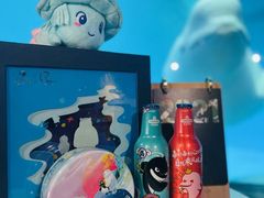 -海合安成都极地海洋公园