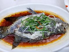 -金华安大酒楼·老牌潮菜·粤式茶点(东方国际店)