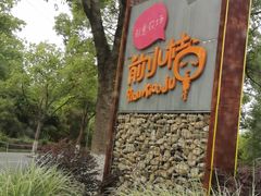 -前小桔亲子创意农场·草莓采摘·露营烧烤