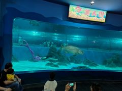 -苏州海洋馆