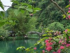 -靖西鹅泉风景区