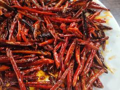 辣炒墨斗爪-西塔隆太白烤牛肉馆(图们路店)