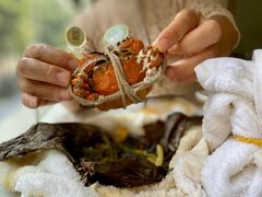 阳澄湖牌大闸蟹-金城大酒店-中餐厅(汾江中路店)