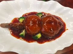 -丁老爷子苏香圆