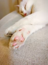 -尚美日式美甲美睫工作室