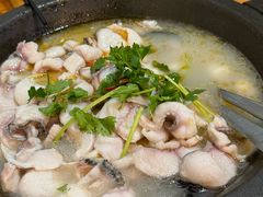 -大鼎石锅鱼(春江里店)