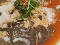 -红姐东北菜私房菜铁锅炖饺子馆(中街店)