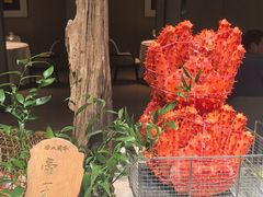 -曲水兰亭(北京四惠店)