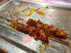 -福苗小骆驼烧烤(莲湖路店)