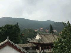 android_upload_pic-鼎湖山风景区