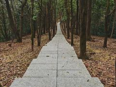 -火炉山森林公园