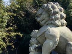 -南京市江宁方山