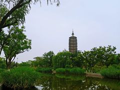 -西海子公园