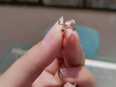 -中商广场(黄石店)